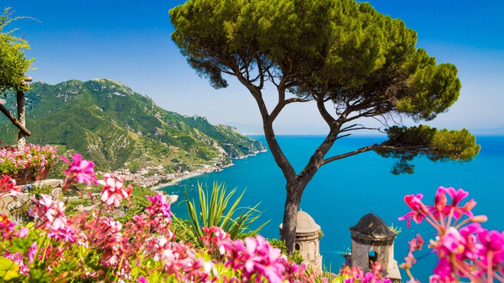 Amalfi Coast Tree 