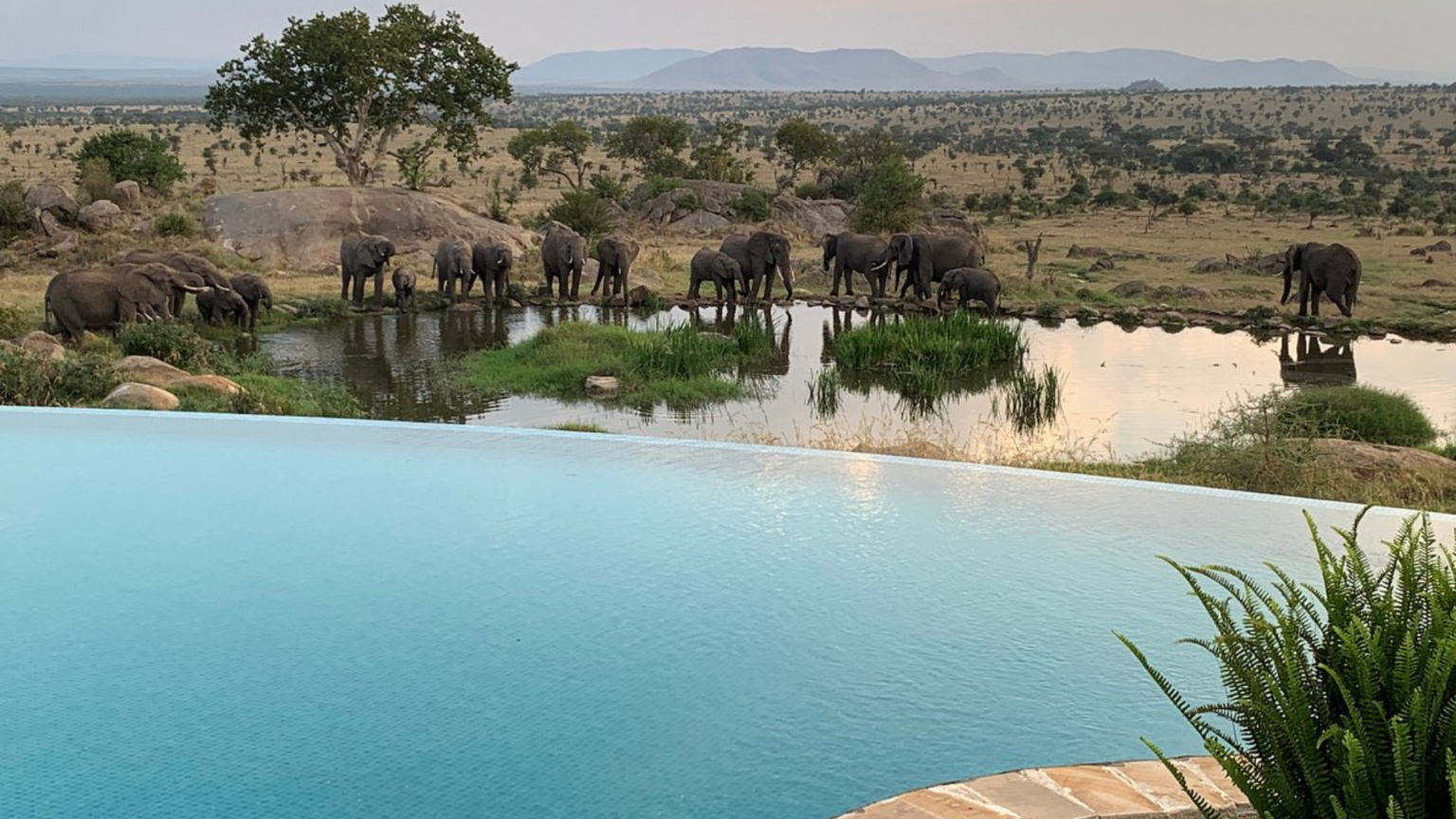 The World’s 10 Most Extravagant Pools You Won’t Believe Exist - The ...