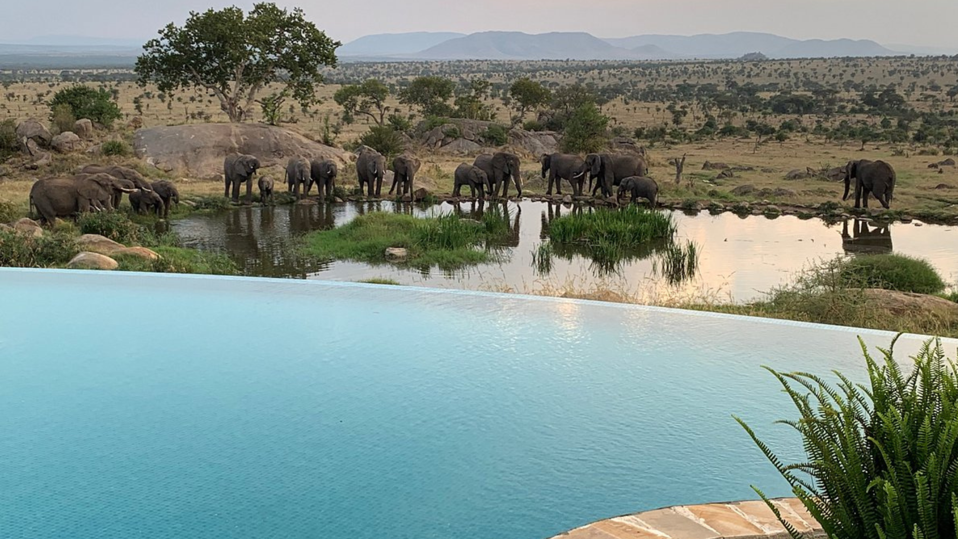 The World’s 10 Most Extravagant Pools You Won’t Believe Exist