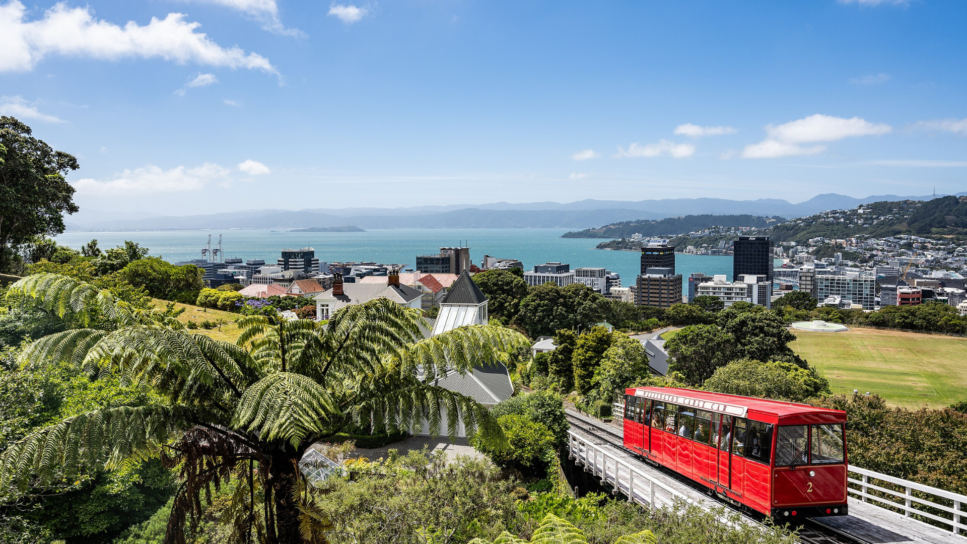 8 Unique Places to Explore in Wellington, New Zealand