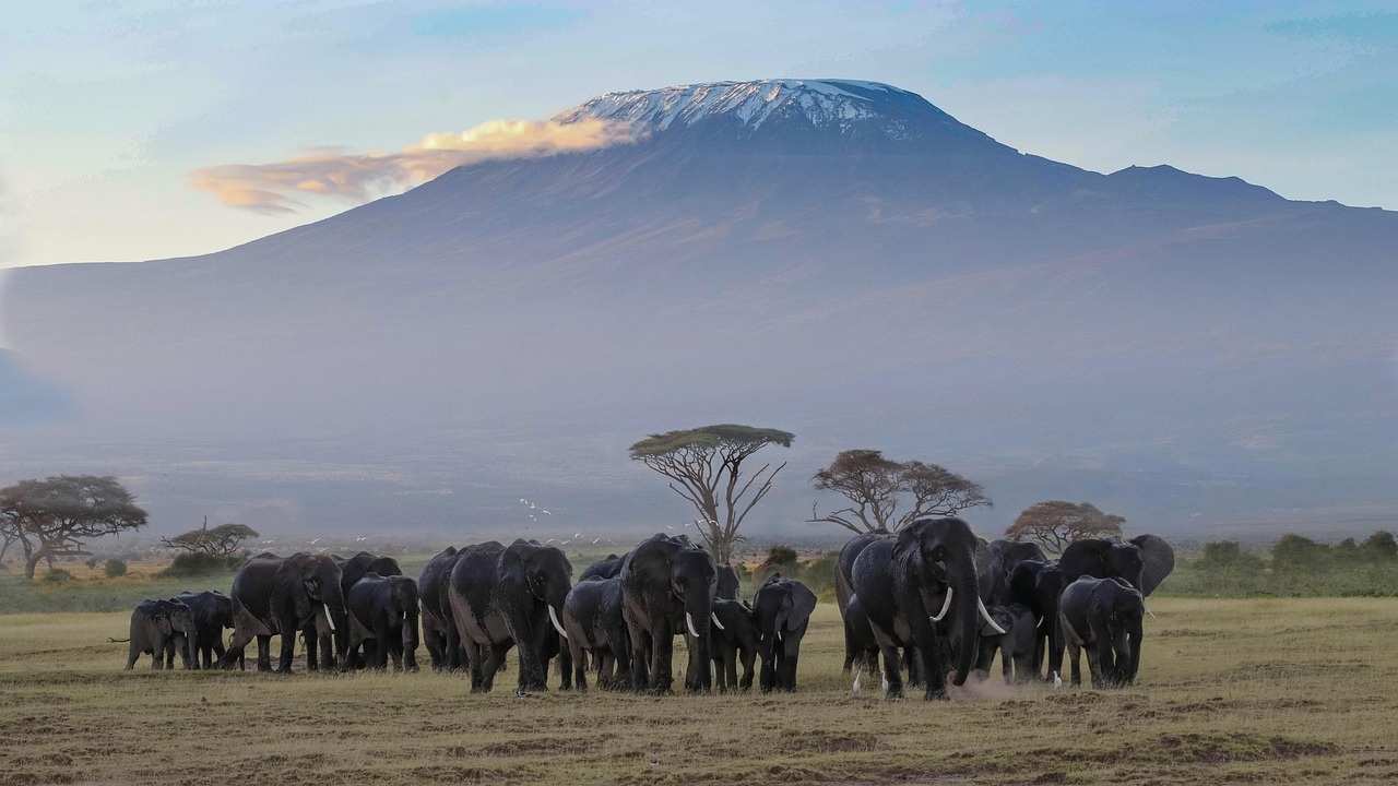 10 Incredible Things You Didn’t Know About Mt. Kilimanjaro