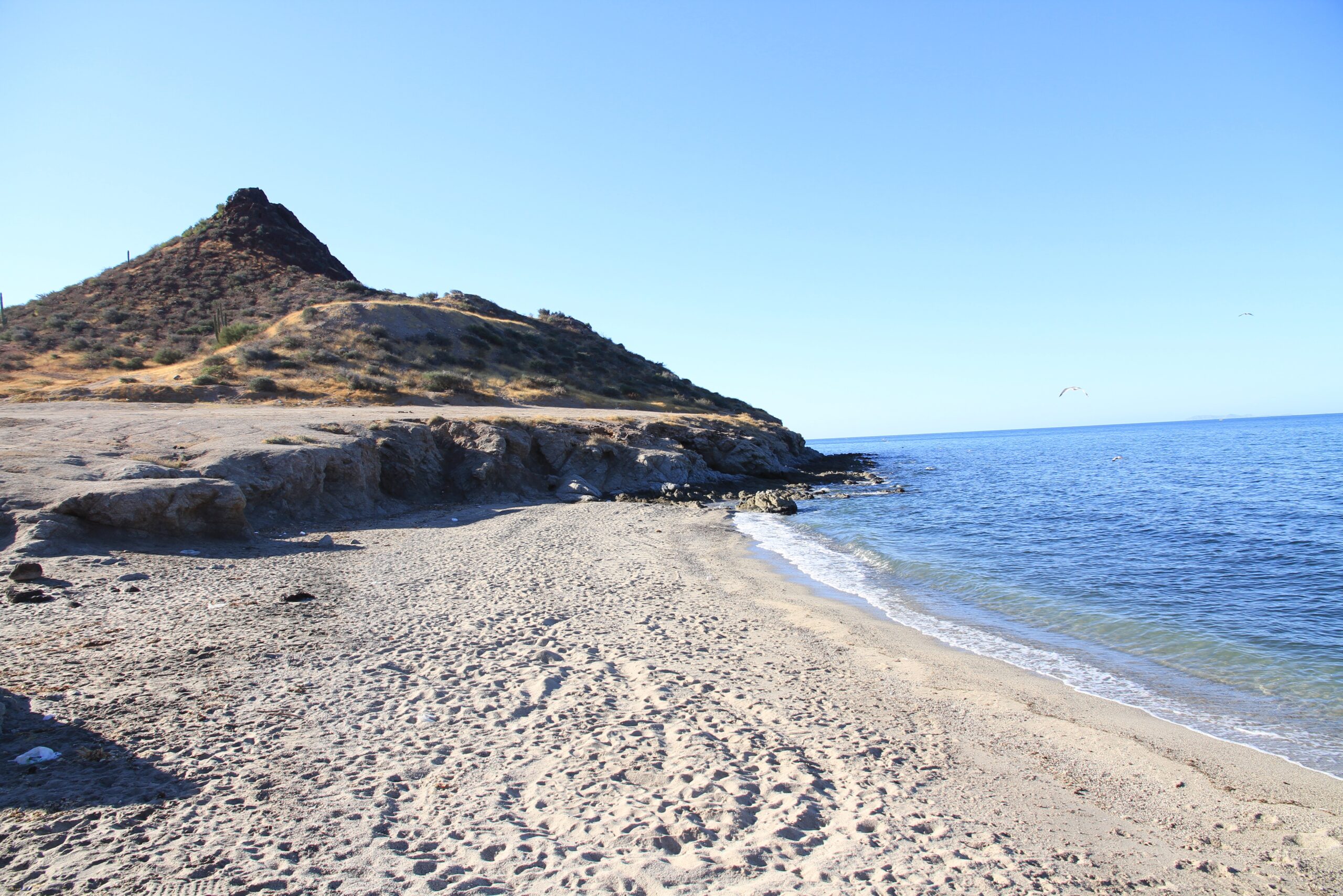 Bahía Kino