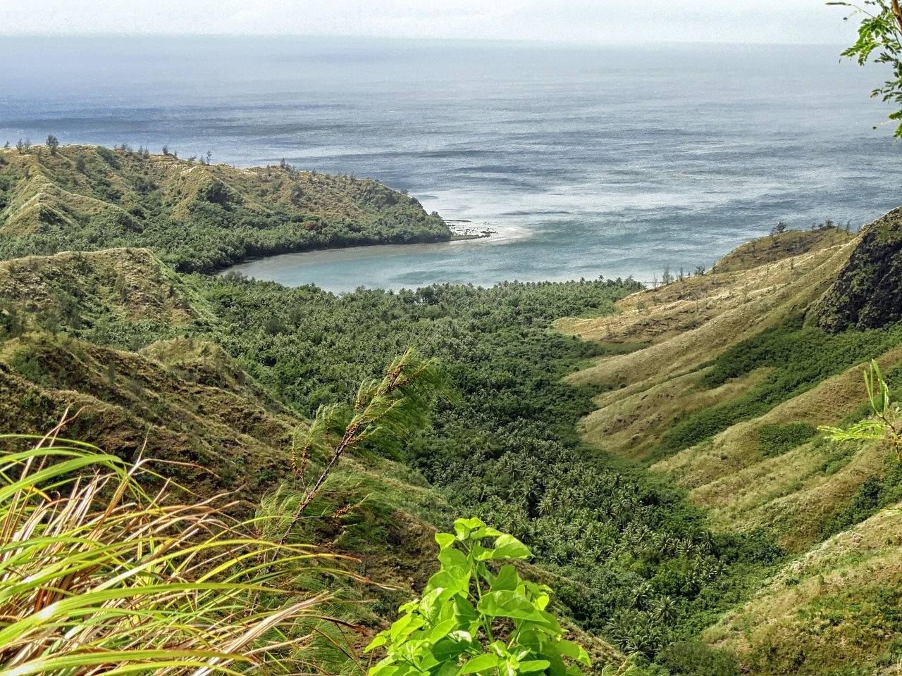 cetti bay, guam, forest, trees, sea, ocean, water, hdr, plants, grass, valley, nature, outside, guam, guam, guam, guam, guam