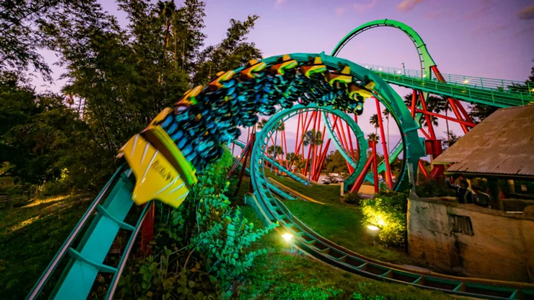 Busch Gardens Tampa Roller Coaster
