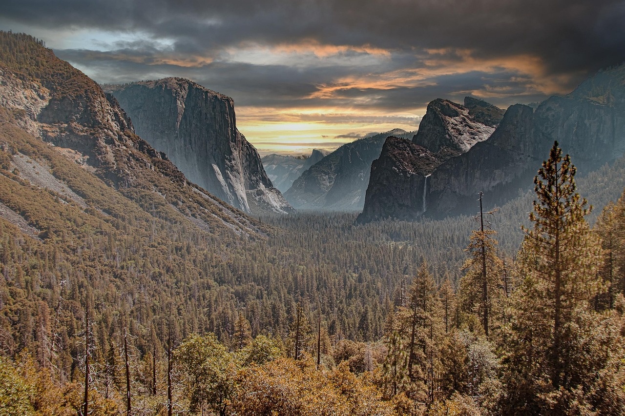 yosemite, sunset, forest, national park, fall, mountains, usa, nature, landscape, yosemite, yosemite, yosemite, sunset, forest, national park, national park, national park, national park, national park, usa, usa, nature, nature, nature, landscape