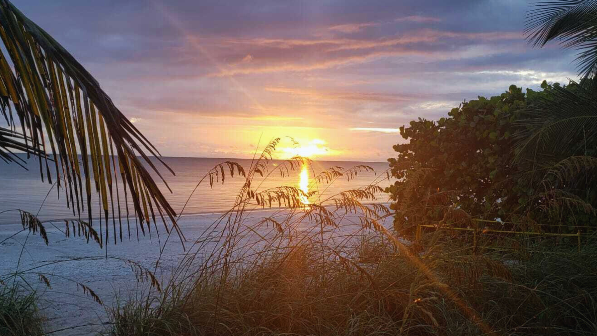 I've lived in Florida for over 30 years. These are the 18 tourist hot spots worth visiting and the 6 you can skip.