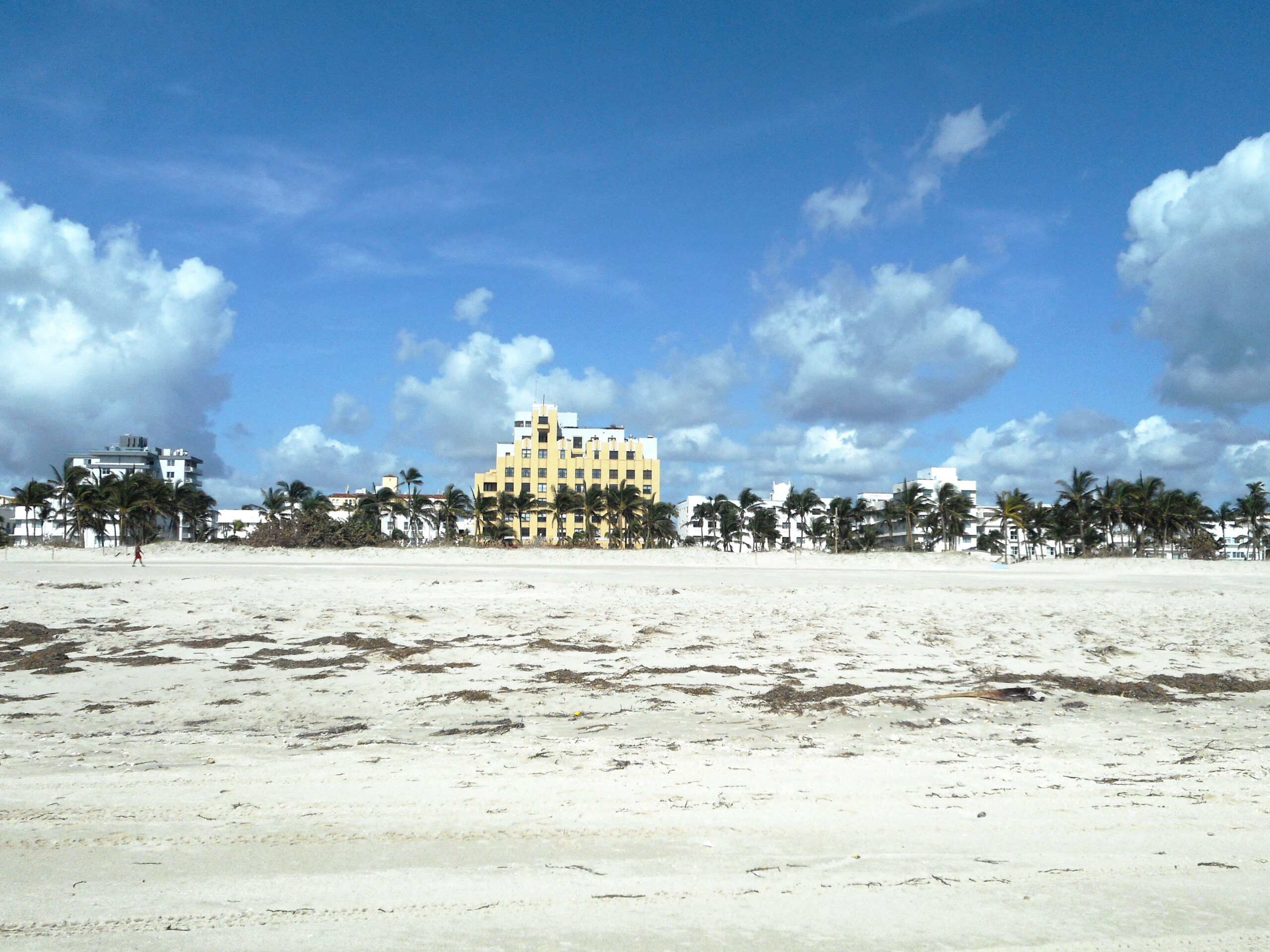 General view of beach, near Ocean Drive and 13th and 14th Streets, showing deposits of marine detritus and cover of sand on dune vegetation