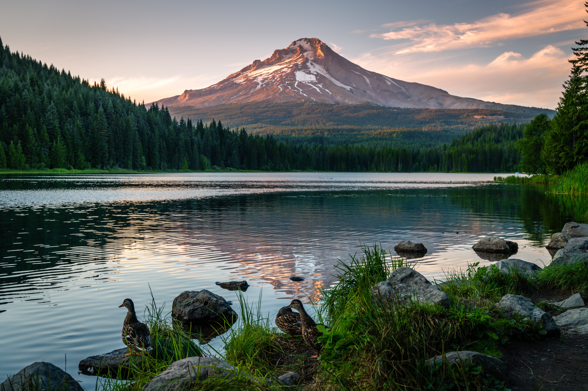 Ranking The 23 Most Beautiful States In The US According To Travelers