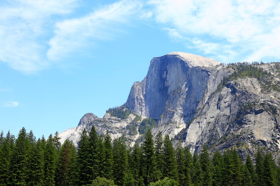 Majestic Half Dome in Yosemite Park with a clear blue sky and lush pine forest.