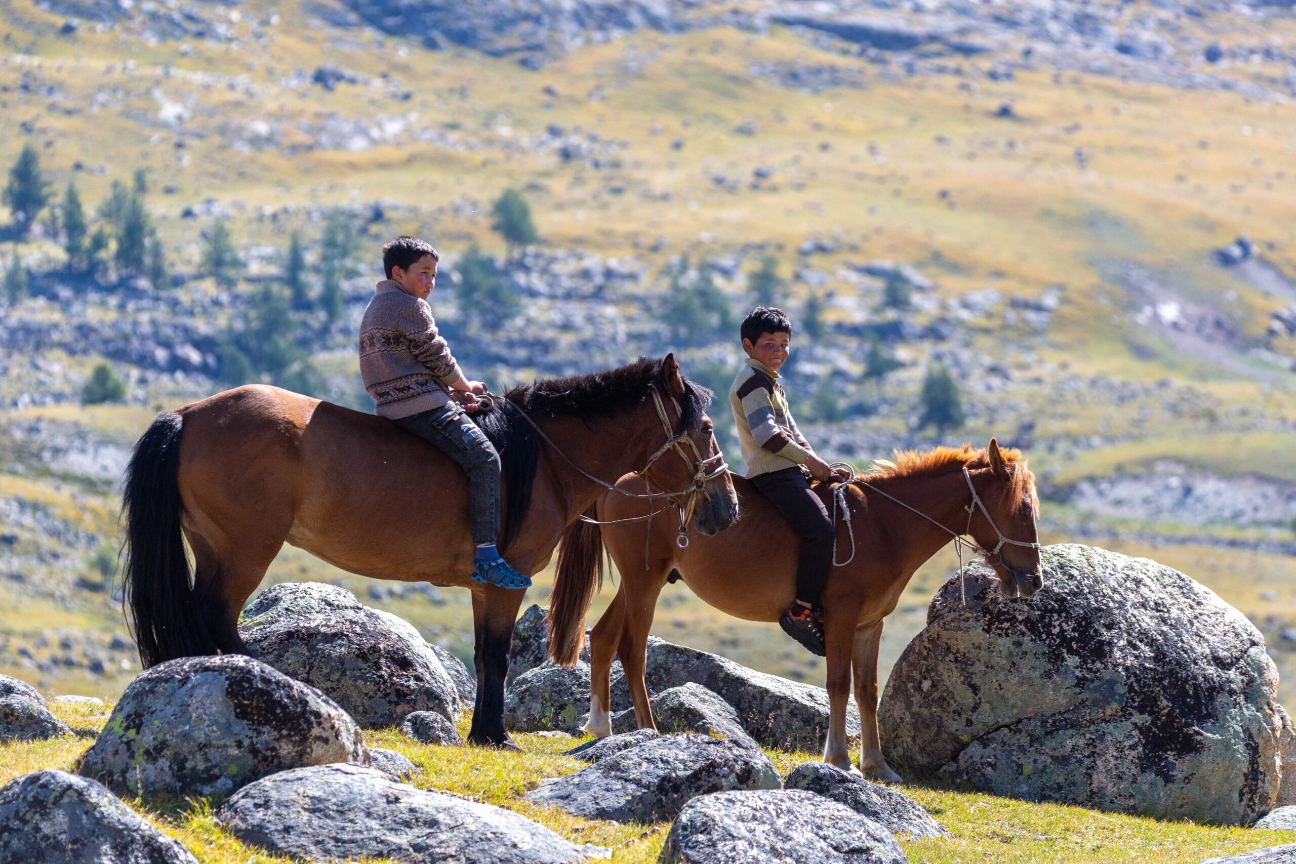 Two young boys on horseback watch as their family tends to the herd.