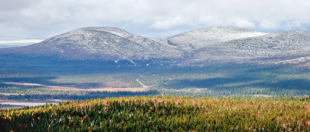 mountain in lapland, forest, lapland, autumn, nature, finland, landscape