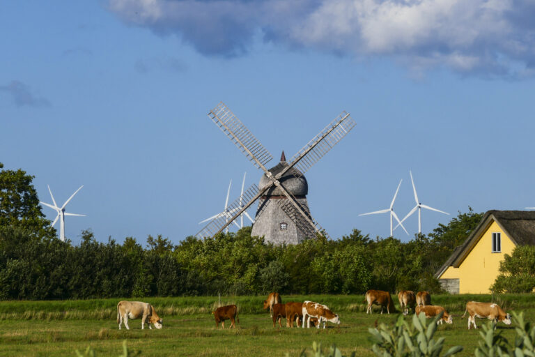 Countries That Run Almost Entirely on Green Energy