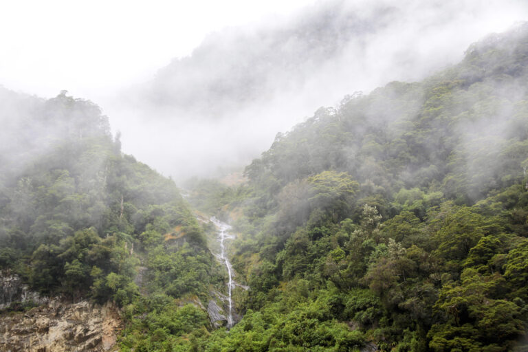 20 Rainforest Destinations With Towering Canopies
