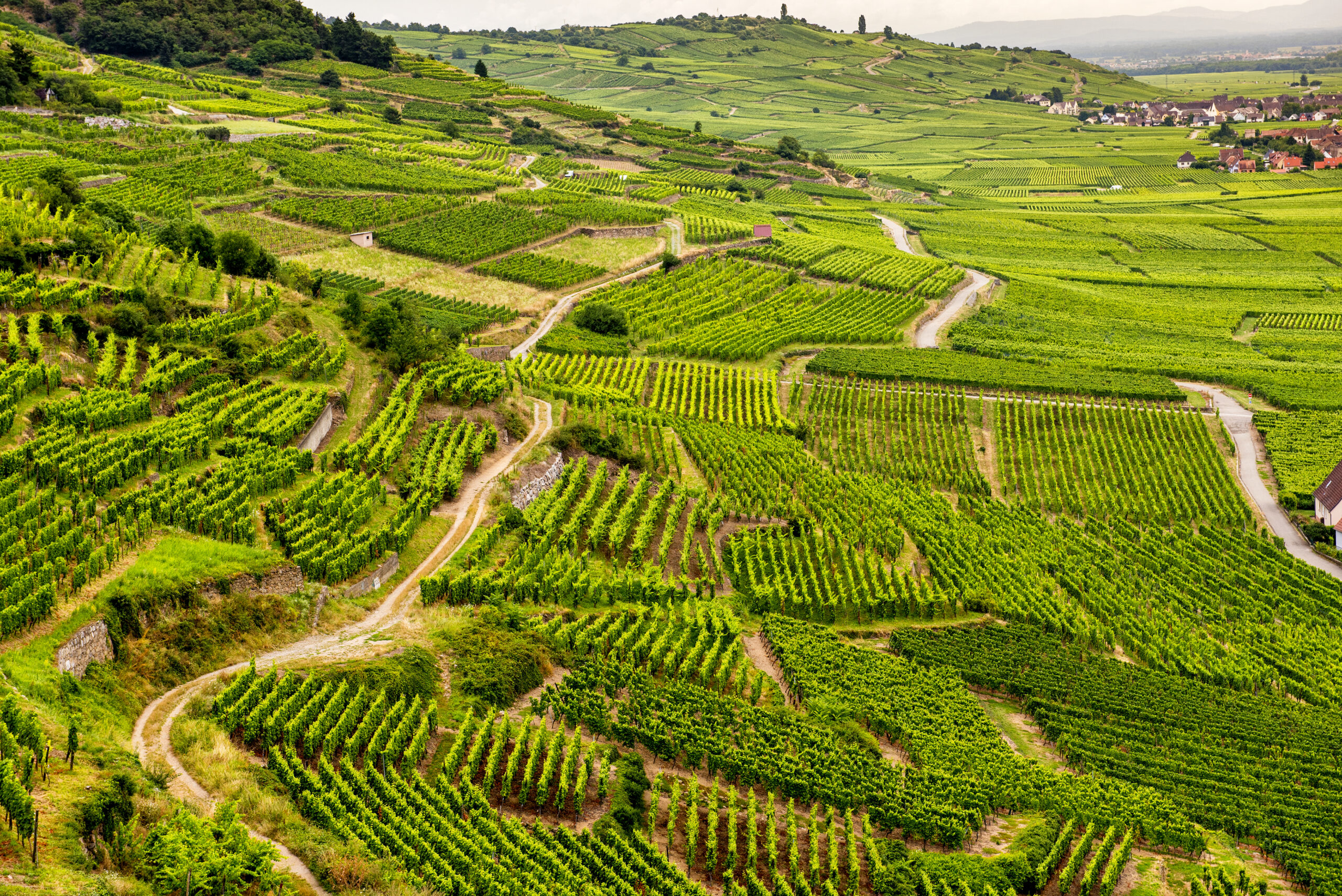 20 Of The World’s Most Scenic Vineyards