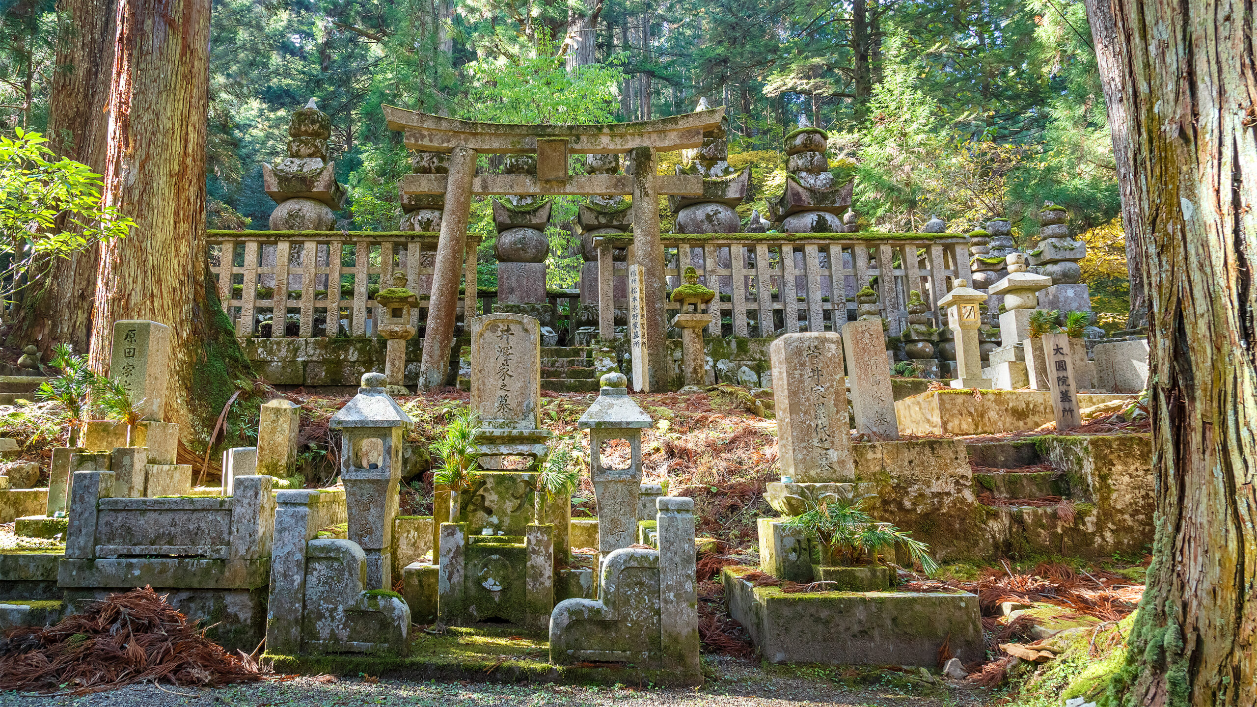 From Mountains to Monasteries: 15 Places That Renew the Spirit