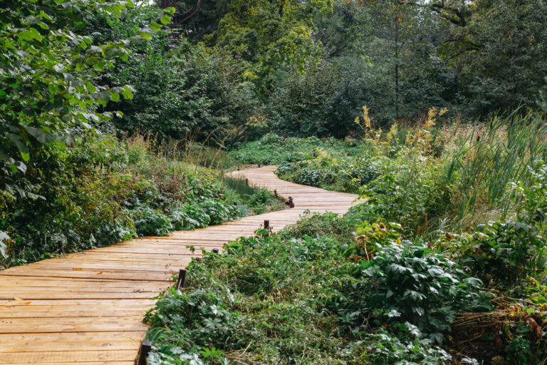 Travel Through Time and Place on These Historic Walking Routes