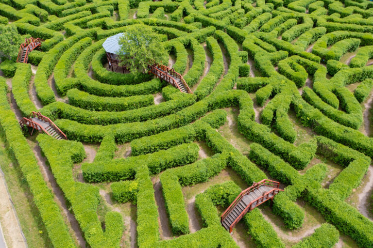 20 Natural Mazes Created by Stone, Water, or Tree