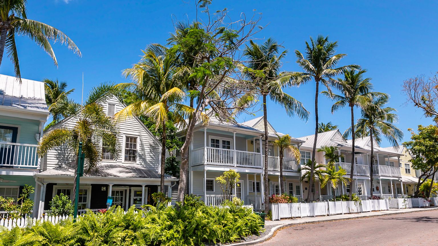 houses palm trees key west
