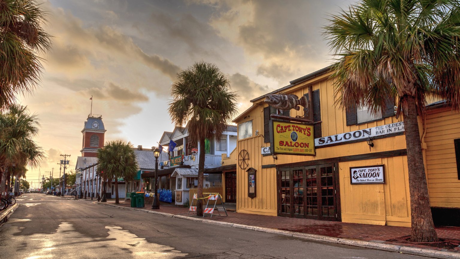 slaoon small town palm trees