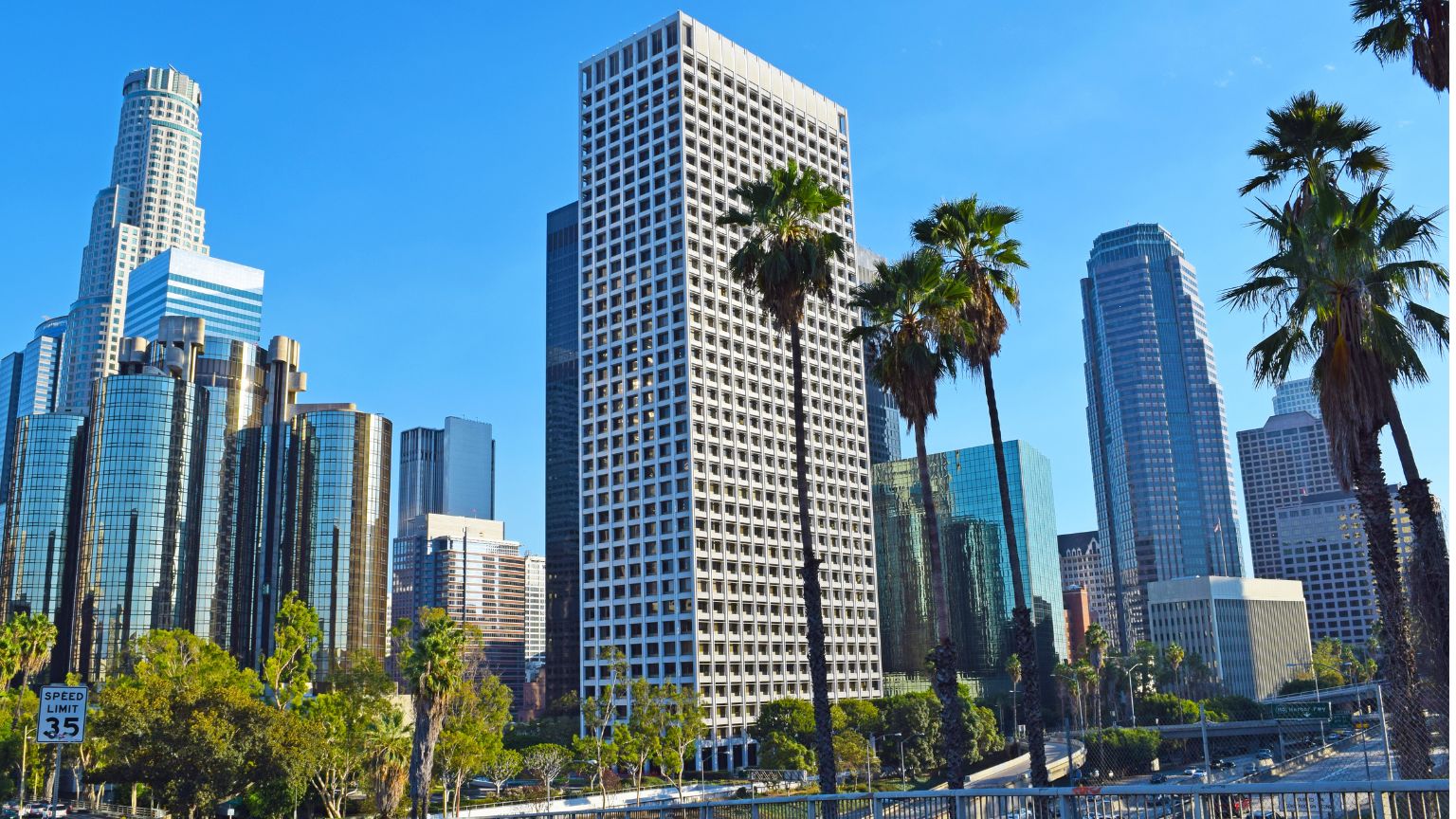 Downtown Los Angeles Skyline 