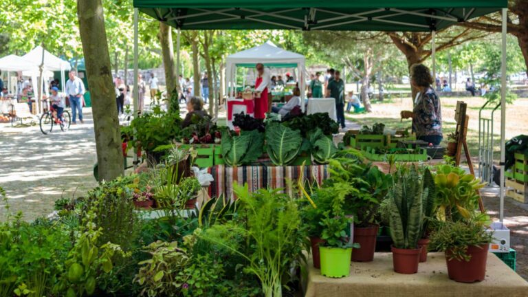 Grocery Store Tourism Gains Recognition as a Cultural Experience in 2025