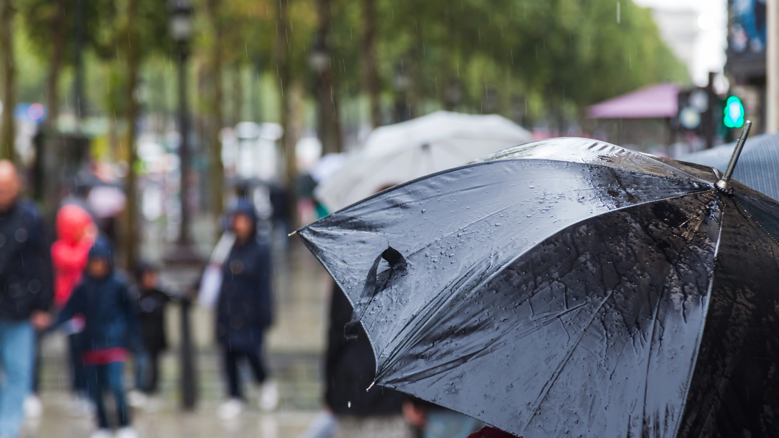 Rainy Day City Plans That Still Feel Like a Vacation