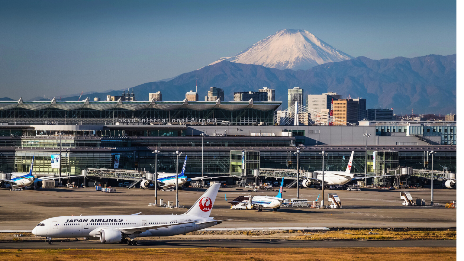 After Years of Red-Eyes, These Are the 17 Airports Where Early Flyers Win
