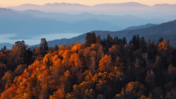 How to Use Explore Fall’s Real-Time Fall Foliage Map in the U.S. - The ...