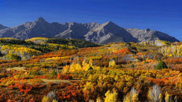 16 Gorgeous Valleys Showing Peak Color This November