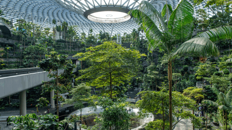 How Airport Delays Can Lead to Serendipitous Discoveries