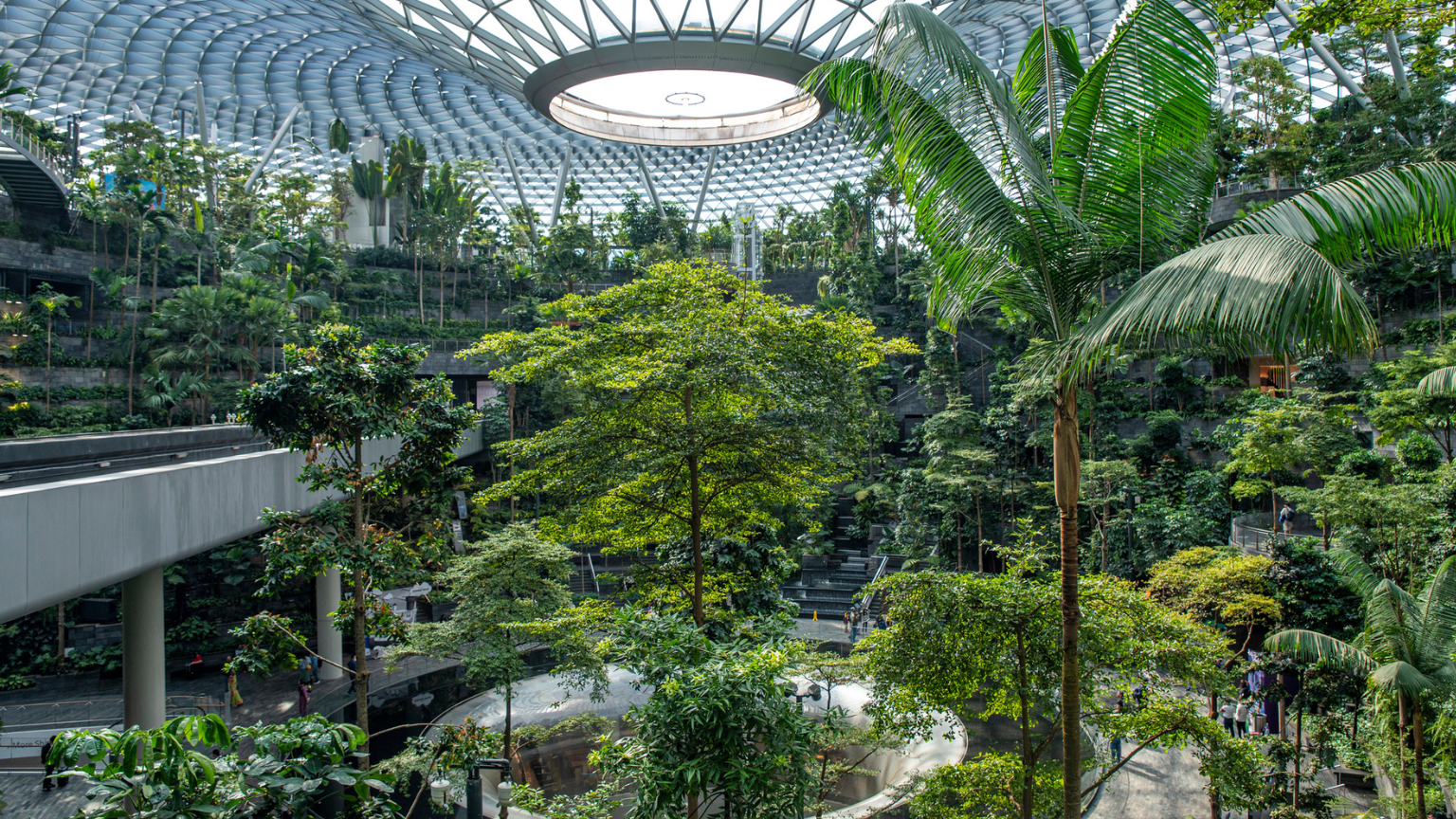 How Airport Delays Can Lead to Serendipitous Discoveries