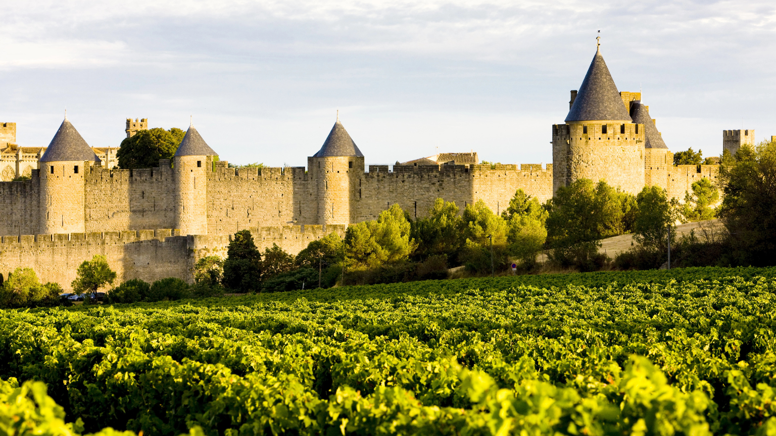 16 Underrated Wine Regions That Rival Europe’s Famous Vineyards