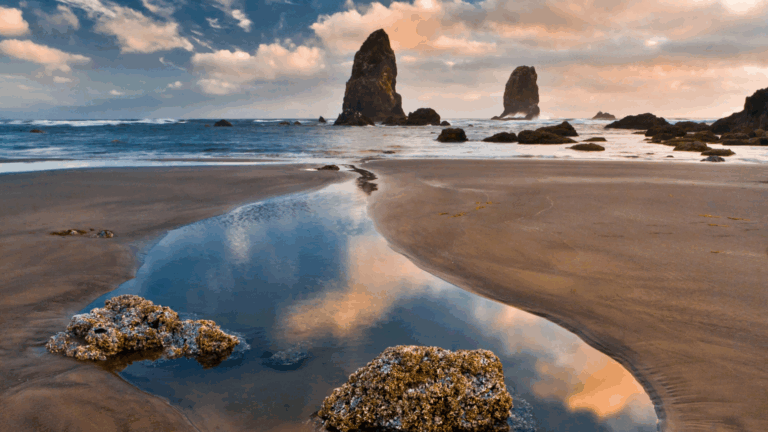 Why the Oregon Coast Just Landed on BBC’s List of Top 2026 Destinations