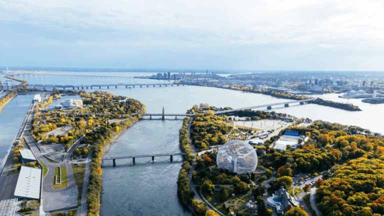 14 Festival Cities That Own the Calendar