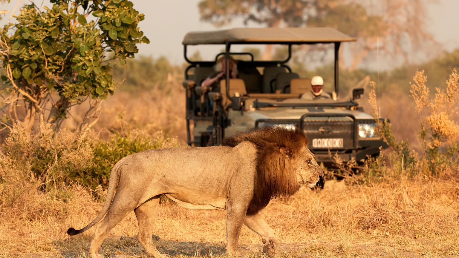 10-Day Self-Drive Safari Planner: Kruger National Park, South Africa
