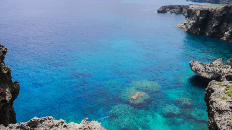 Discovery off Japan: Submerged Site May Rewrite Early Sea Life History