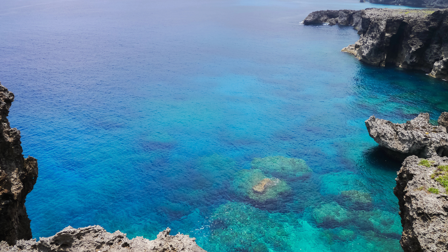 Discovery off Japan: Submerged Site May Rewrite Early Sea Life History