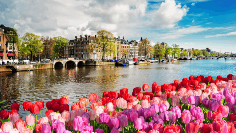 14 Flower-Burst Cities That Explode Every Spring