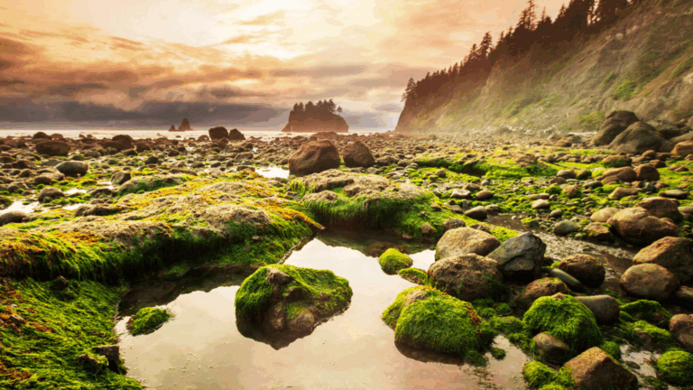 15 Best National Park Gateways for Warm, Cozy Inn Stays