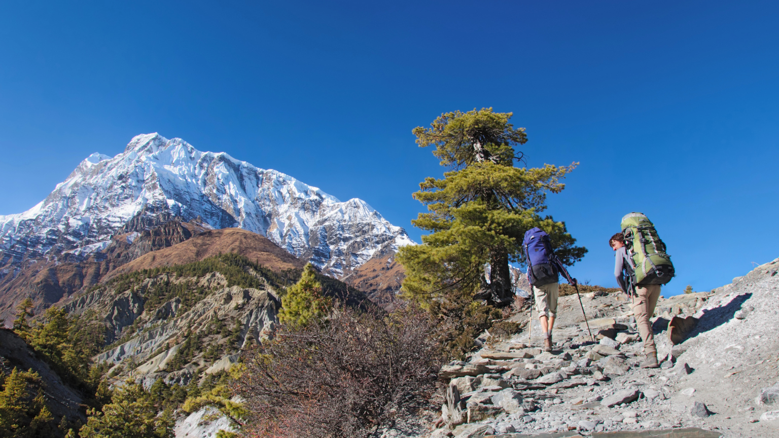 Save Up to 40% on Annapurna Trek Costs in 2026