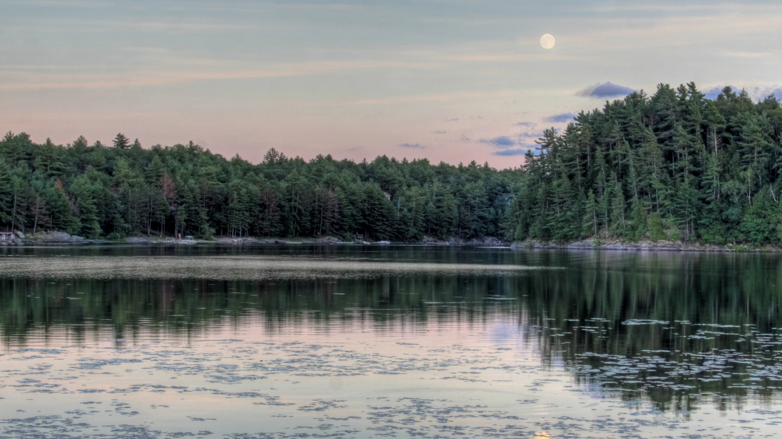 Remote Work Meets Cottage Charm: Muskoka Lakes